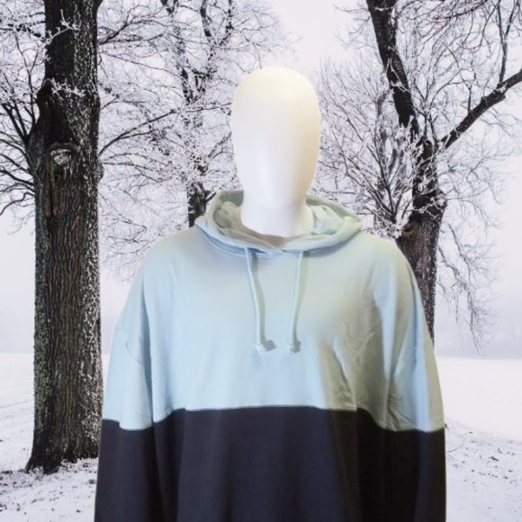 NWT Adult Colorblock Regular Fit Hooded Sweatshirt - Soft Sky [120/126/150] - Picture 4 of 7